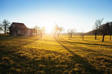 Mastering Golden Hour: A Photographer's Guide